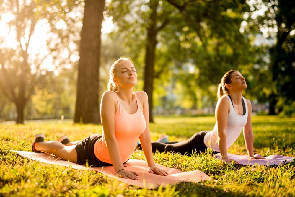 Aktywne wakacje na wsi Aktywne wakacje na wsi